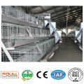 Poul-Tech Automatic Pullet Cage and Incubators for Poultry Farms